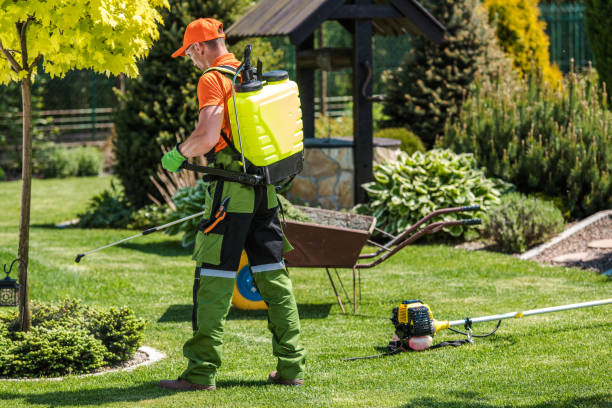 Best Lawn Pest Control  in Fishers, IN